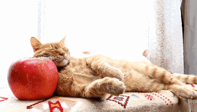 一到換季就爛臉？趕緊收好這份換季“救臉”指南