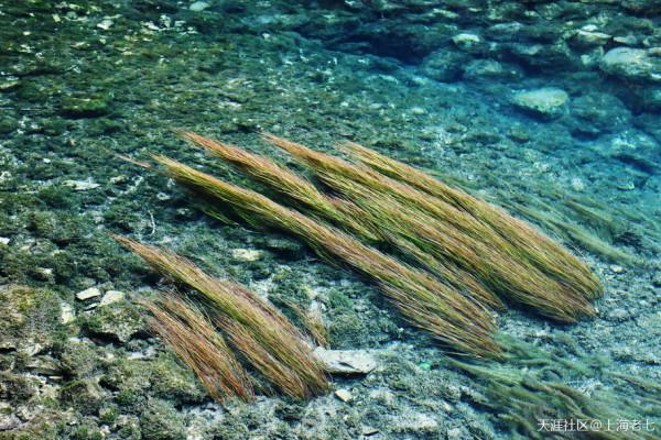 別人的生活:退休了 開始自駕遊 別人的生活:退休了 開始自駕遊
