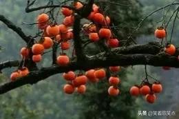 小小說丨多多少少也是愛心 小小說丨多多少少也是愛心