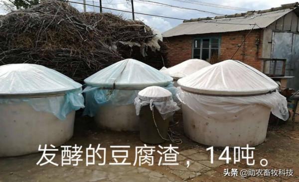 今後只有三種豬場（自有散養豬場）是可以長期保持穩定盈利的