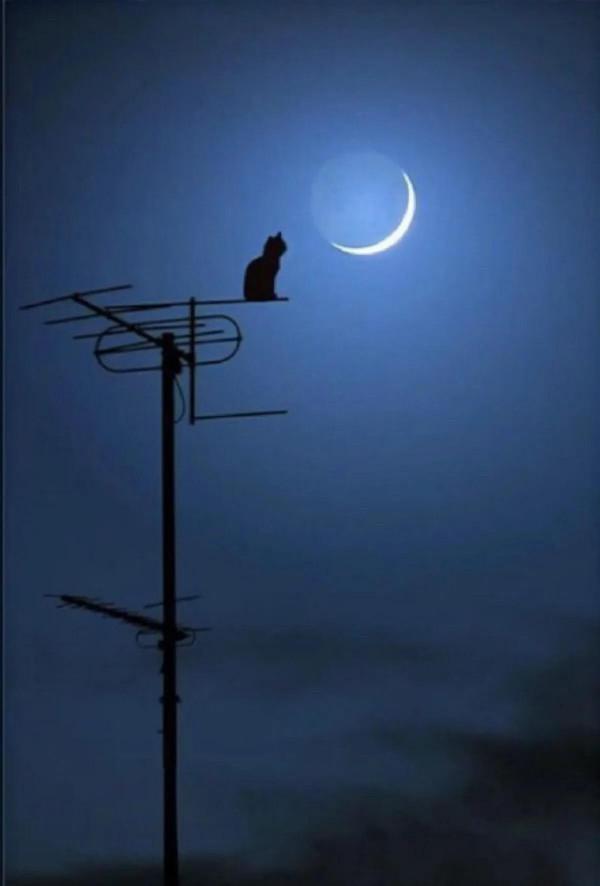 晚上2點睡覺7點起床會對身體有什麼影響？