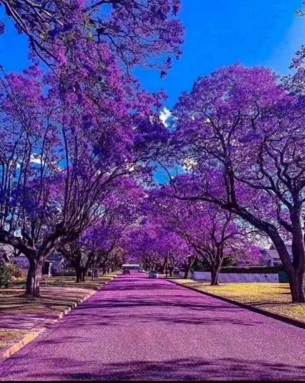 世界很大，風景很美，而你卻不是那個想走就走的人