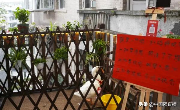 重慶一茶館的大鵝“店小二”真特殊,倒茶不會,賣萌一流 重慶一茶館的大鵝“店小二”真特殊,倒茶不會,賣萌一流