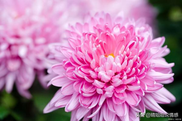 離別，就是為了下一次的相聚