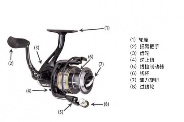 紡車輪 最適合路亞釣新手，快速選擇指南，漁輪原理、效能和引數