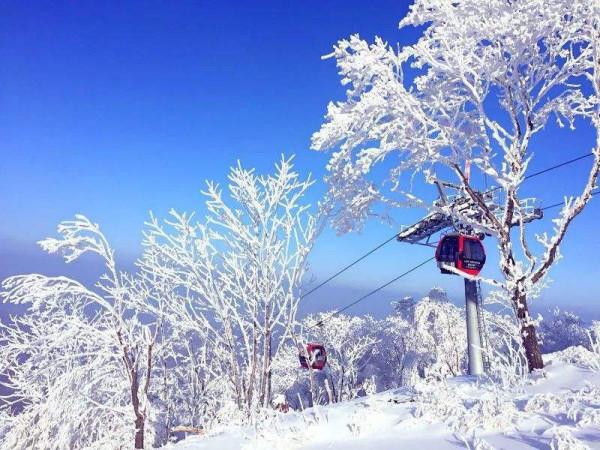 國內最值得去的冰雪聖地，Get奧運冠軍同款滑雪場