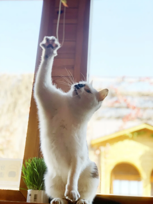 脖子扭扭屁股扭扭，久坐傷身讓我們來做運動