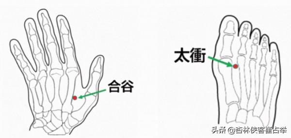 痛症總論——痛點不固定、全身痛、全身肌肉痛,三步走幫你改善 痛症總論——痛點不固定、全身痛、全身肌肉痛,三步走幫你改善