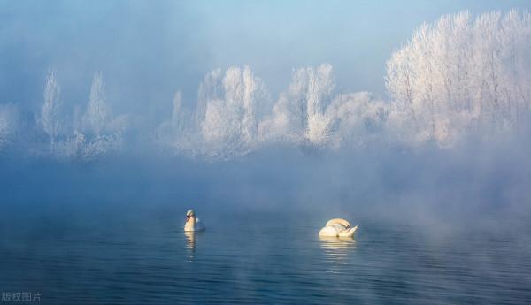 超出你想象的空中草原