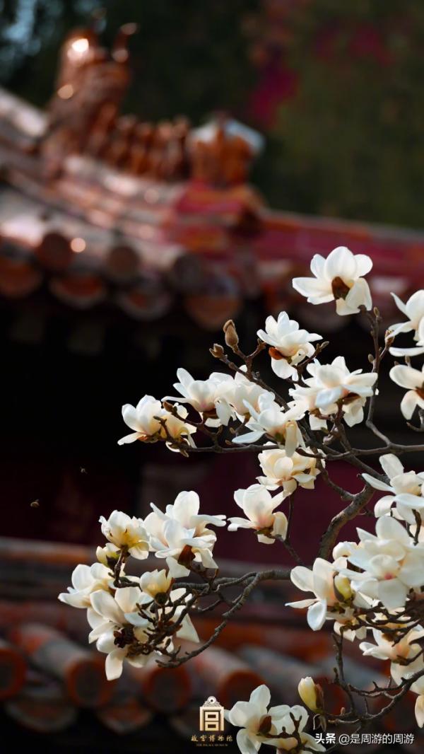 周遊|“今生世上再無他,我也無需看任何人” 周遊|“今生世上再無他,我也無需看任何人”