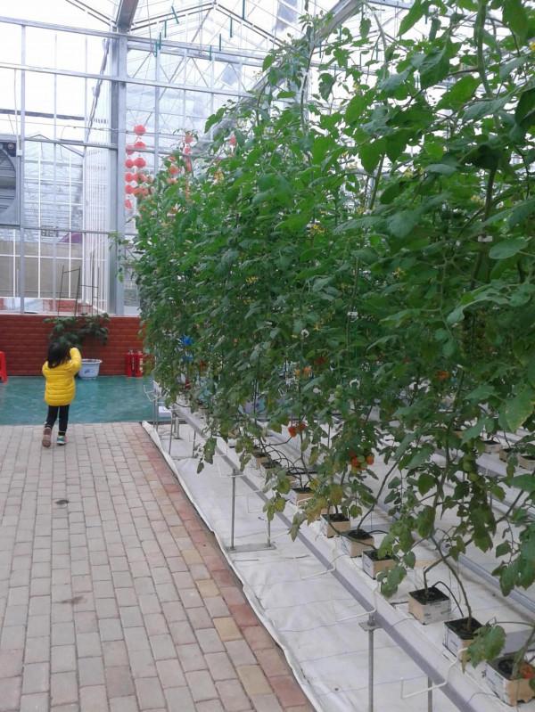 五彩田園，美麗的田園