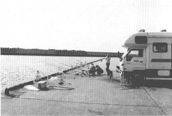 「 日本專業海釣入門投釣書籍 」新手海釣首選投釣,比浮釣易操作 「 日本專業海釣入門投釣書籍 」新手海釣首選投釣,比浮釣易操作