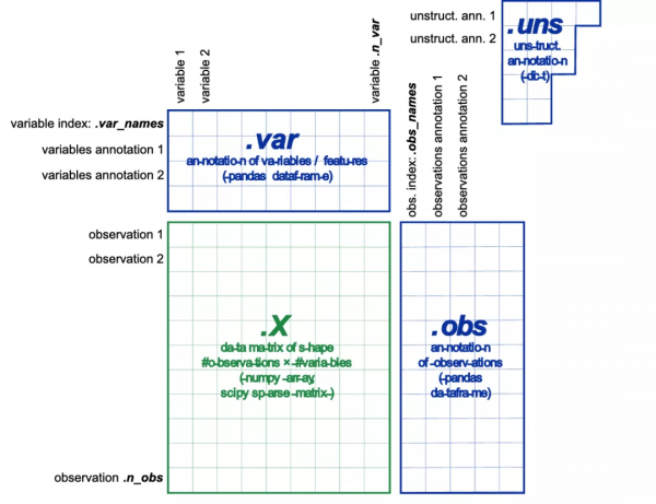 免費用！不會生信也能用的單細胞分析工具