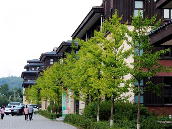 遼東山區一座深藏不露酷似日本建築風情的街巷小區 遼東山區一座深藏不露酷似日本建築風情的街巷小區