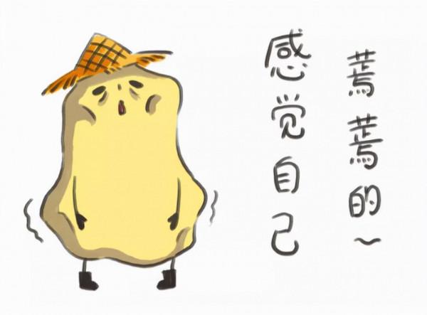 脾溼，寒溼內盛或溼熱內蘊？怎麼進行調理？以健脾祛溼為主