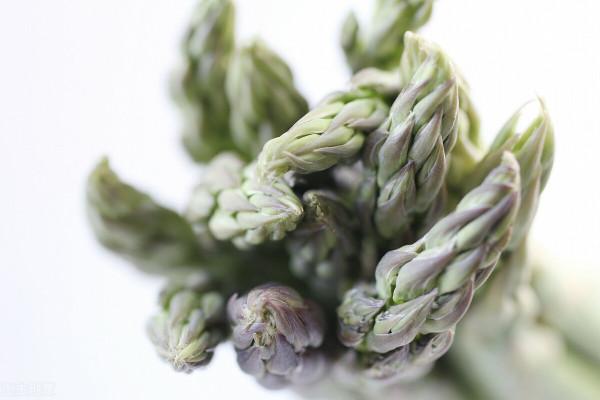 別再瞎補鈣了!寶寶缺不缺鈣主要看這些點,如何快速補鈣? 別再瞎補鈣了!寶寶缺不缺鈣主要看這些點,如何快速補鈣?