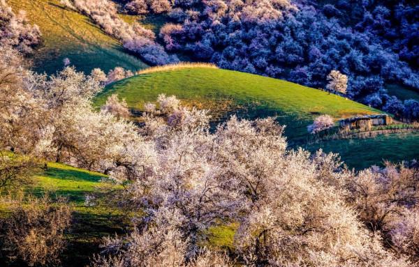 這些景點太治癒了，看完心情好了10000倍