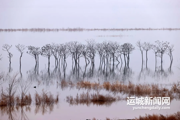 影像｜霧漫鹽湖似水墨