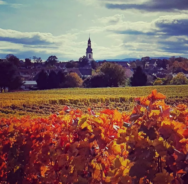 去德國旅行，試試以下這10件事吧，讓你擁有更加值得回味的內容