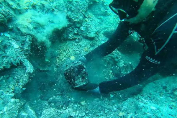 新加坡海域古沉船發現大批元青花