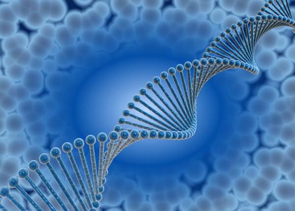 人類為何不能永生?科學家:人類都是“打工仔” 人類為何不能永生?科學家:人類都是“打工仔”