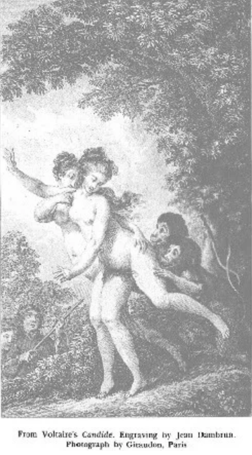 最善於諷刺的人,底色是悲涼的 最善於諷刺的人,底色是悲涼的