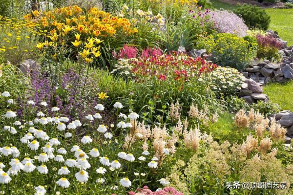 有花的院子才叫花園！沒花的花園最蒼白！花園應該這樣種花