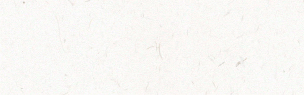 別傻了,“紅茶、熟普能養胃”並不是你想的那樣 別傻了,“紅茶、熟普能養胃”並不是你想的那樣