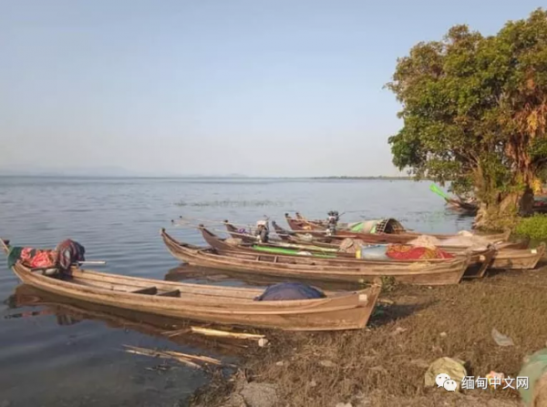 什麼情況？緬北克欽著名的湖泊，水面漂著不少死魚
