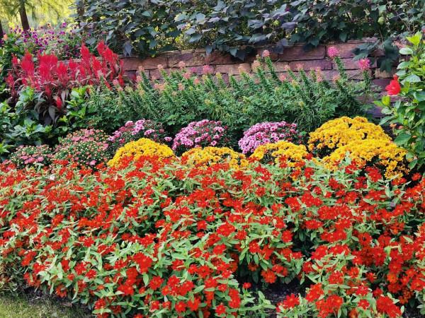 江山風月賦——幽居之趣 紫藤水墨