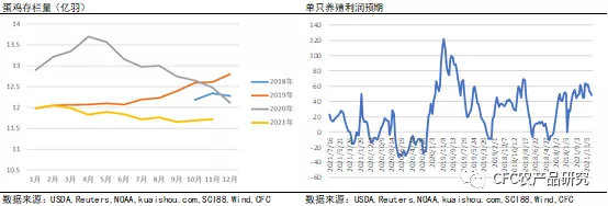 「2022玉米年報」緊平衡下，玉米震盪前行