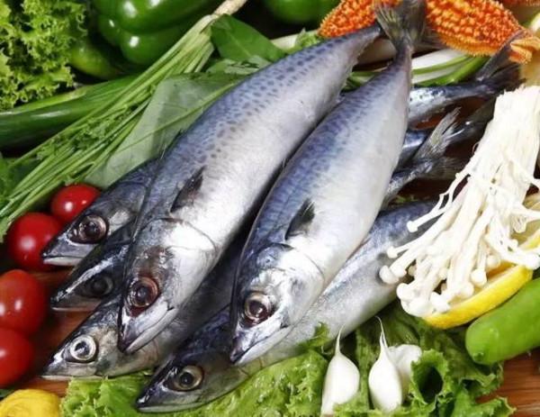 夏天要多吃魚，這4種海魚肉嫩鮮美，經濟實惠，關鍵人工不能養殖
