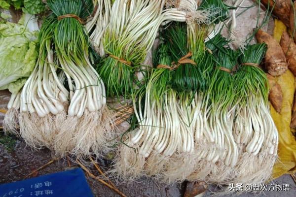 漫談起源於中國的蔬菜