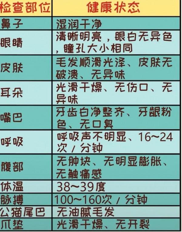 學會這幾招,新手在家自己給貓貓做體檢 學會這幾招,新手在家自己給貓貓做體檢
