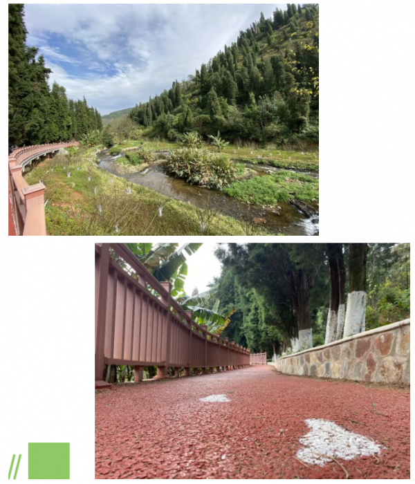 箇舊寶藏景緻上新！一水百花一步道，新年迎春正當時！