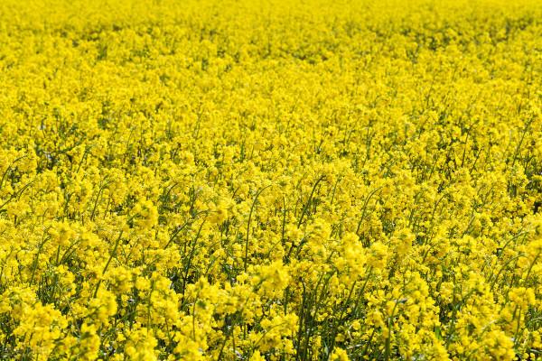 我對江西的一些印象