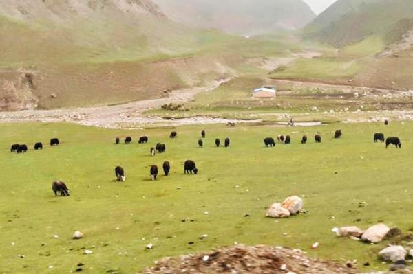 全新標緻4008環青海長測Day1：西寧開始遊記，今天目的地茶卡鎮！