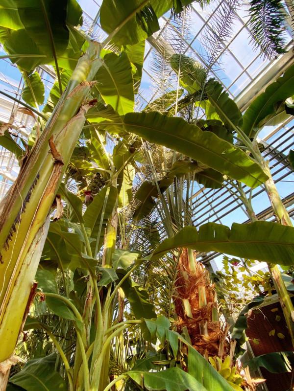 北京週末去哪兒?冬天室內遊玩遛娃的好地方!門票只要10塊錢 北京週末去哪兒?冬天室內遊玩遛娃的好地方!門票只要10塊錢