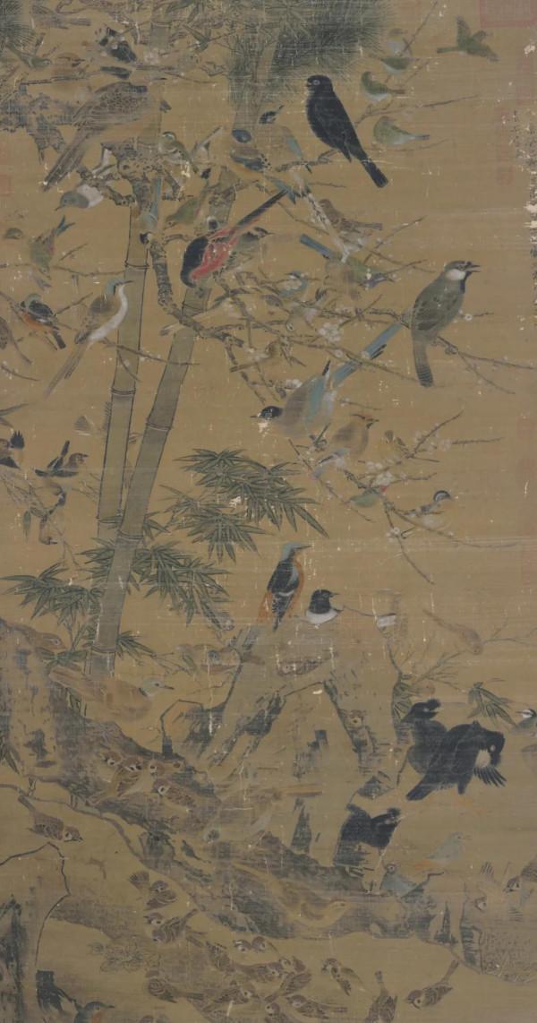 畫眉鳥為啥叫畫眉鳥？與西施有什麼關係呢？