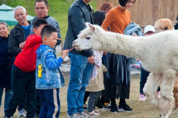 @犍為人，這個景區，門票只要9.9元！