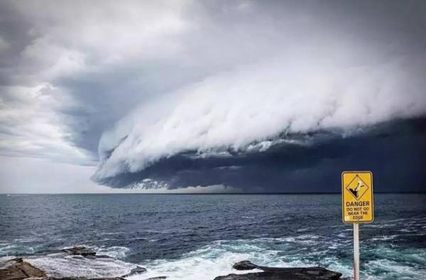 如果遇見50米高的海嘯，是跑向內陸好，還是迎面扎進水裡好？