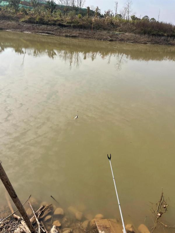 週末再戰湄溪河，再獲闆闆