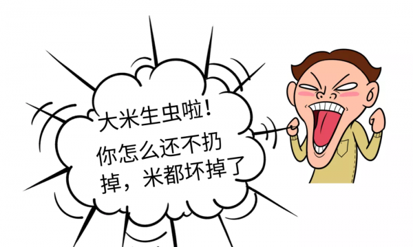 生蟲的米也能繼續吃？你吃的米飯裡可能就有米蟲