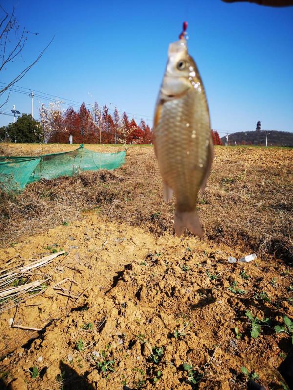 女釣手冬釣養成記
