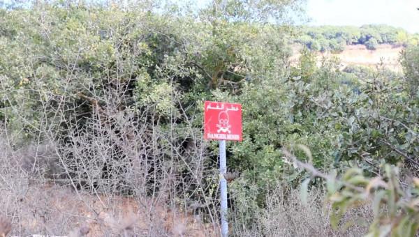 潮頭聽濤｜藍盔&OpenCurlyDoubleQuote;記者&rdquo;的戰地手記