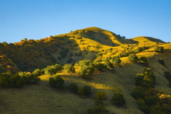 秋天的杏花谷：每一幀都是風光大片