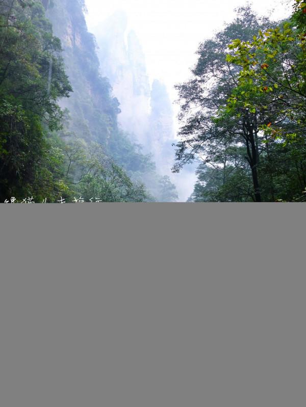 國內世界自然遺產一共只有十四個,貴州湖南這個經典線路包含兩個 國內世界自然遺產一共只有十四個,貴州湖南這個經典線路包含兩個