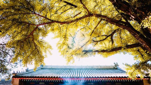 歲月人間促,煙霞此地多。兩首蘊含人生哲理的小詩,您值得品讀 歲月人間促,煙霞此地多。兩首蘊含人生哲理的小詩,您值得品讀