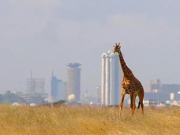 Safaricom 將於2022年實現5G商業化 Safaricom 將於2022年實現5G商業化