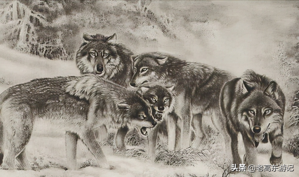 民間故事：獵戶打熊被狼救，狼：我來報恩 獵戶心存僥倖終食惡果